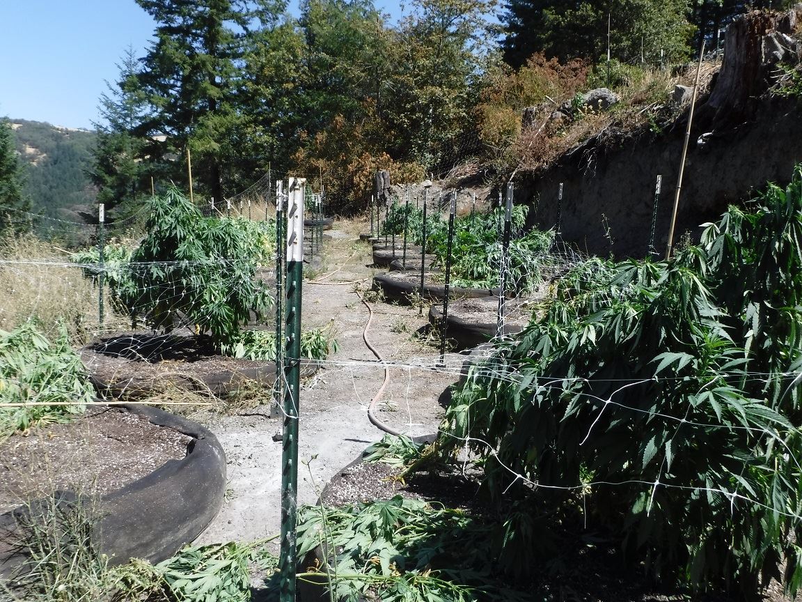 Search Warrant - Case 201603973